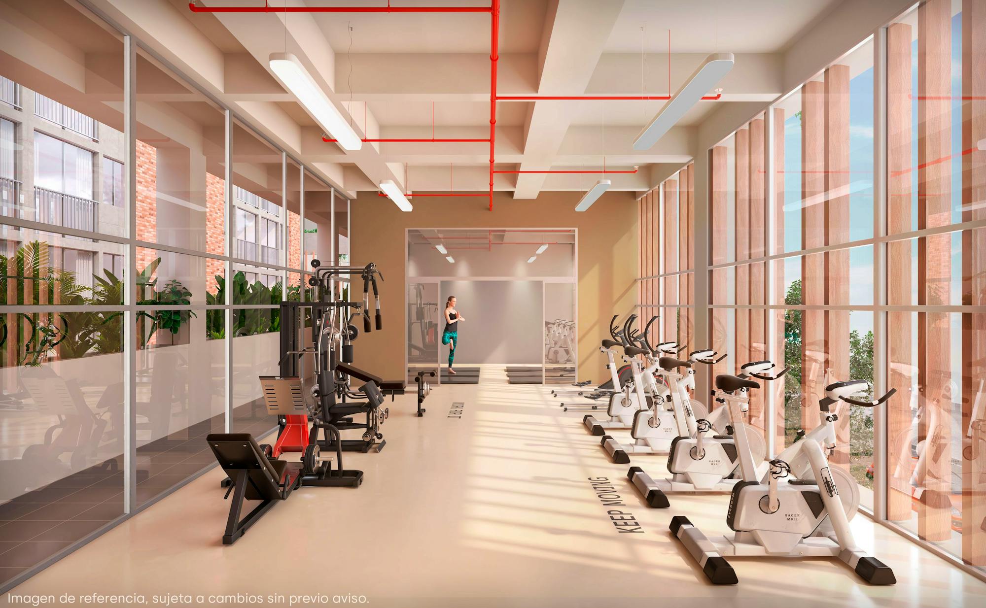 imagenes proyecto
